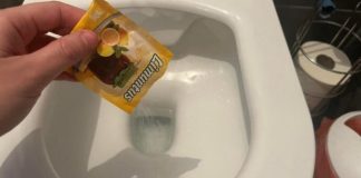 NASULA SAM KESICU LIMUNTOSA U WC ŠOLJU: Kad sam vidjela rezultat nisam mogla vjerovati svojim očima