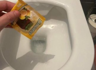 NASULA SAM KESICU LIMUNTOSA U WC ŠOLJU: Kad sam vidjela rezultat nisam mogla vjerovati svojim očima