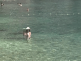 “Ovo je kraj svijeta” Žena snimljena u Crnoj Gori kako USRED MORA RADI OVO i internet je doslovno eksplodirao