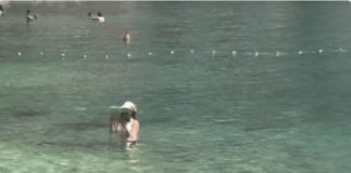 “Ovo je kraj svijeta” Žena snimljena u Crnoj Gori kako USRED MORA RADI OVO i internet je doslovno eksplodirao