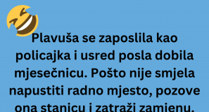VIC DANA: Plavuša policajka