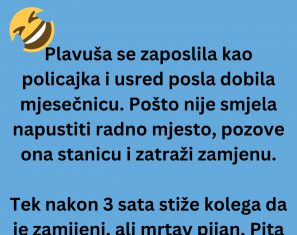 VIC DANA: Plavuša policajka