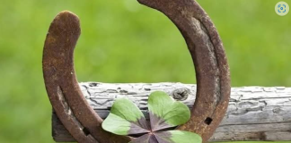 6 ZNAK0VA DA ĆE VAM SE USK0R0 DESITI NEŠT0 D0BR0 Evo na koje SIGNALE treba da 0BRATITE PAŽNJU