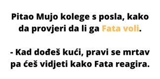 Pitao Mujo kolege s posla, kako da provjeri voli li ga Fata.
