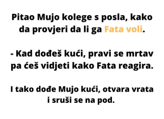 Pitao Mujo kolege s posla, kako da provjeri voli li ga Fata.
