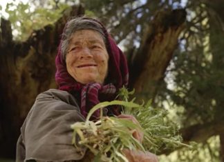 Kako je porodica preživela 40 godina u potpunoj izolaciji od ostatka sveta? Živeli na neverovatan način, a kad su ih našli – jezivo proročanstvo se ostvarilo