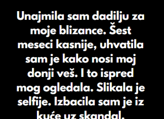 “Unajmila sam dadilju za moje blizance…”