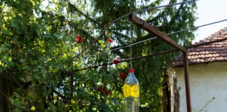 Poslije sat vremena više nećete vidjeti muhiu, ni komarca u blizini: SMUĆKAJTE IM POSLJEDNJU VEČERU