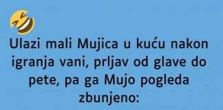 VIC DANA: Mali Mujica