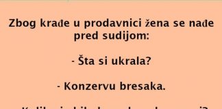 VIC DANA: Muž i žena pred sudijom