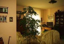 6 stvari koje ne treba poklanjati: Veruje se da ovo ni u ludilu ne treba iznositi iz kuće