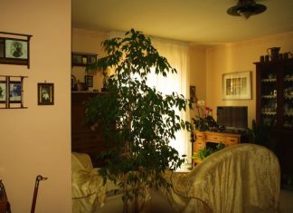 6 stvari koje ne treba poklanjati: Veruje se da ovo ni u ludilu ne treba iznositi iz kuće