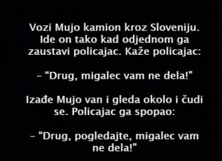 VIC DANA: Vozi Mujo kamion