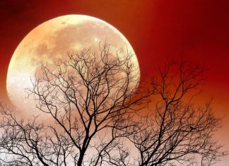 3 Mesečeva rituala koji se izvode u noći punog meseca: U ponoć zamislite samo jednu želju