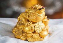 Veruje se da ovih 7 predmeta imaju veliku moć i da svaka kuća treba da ih ima: Privlače novac i obilje poput magneta