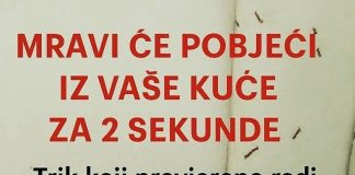 SAMO 1 KAP I MRAVI ĆE POBJEĆI IZ VAŠE KUĆE ZA 2 SEKUNDE…Najefikasni kućni TRIK…