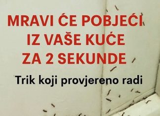 SAMO 1 KAP I MRAVI ĆE POBJEĆI IZ VAŠE KUĆE ZA 2 SEKUNDE…Najefikasni kućni TRIK…
