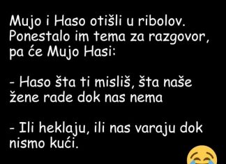 VIC DANA: Mujo i Haso u ribolovu