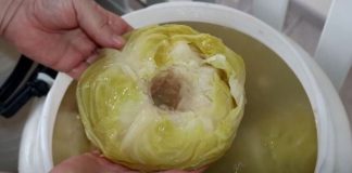 Evo kad i kako se kiseli kupus: Jedan sastojak ga čini posebnim