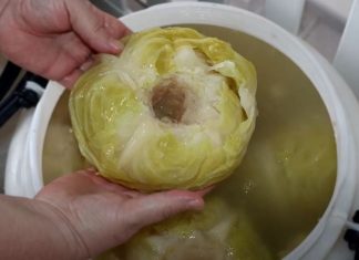 Evo kad i kako se kiseli kupus: Jedan sastojak ga čini posebnim