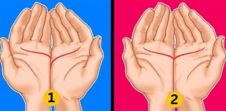 Linija srca otkriva vaše skrivene osobine: Dlanovi govore da li ste magnet za ljude ili odbijate i sami sebe