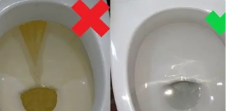 Čistoća preko noći: Ubacite ovo u WC šolju, a ujutro očekujte čudo