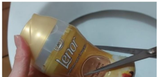 TRIK, sa OVIM, toalet ostaje čist i mirisan do 30 dana: Ne kupujem ništa drugo!