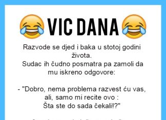 VIC DANA: Razvod u stotoj