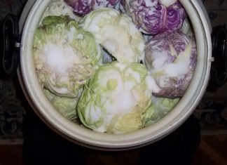 Samo ovo je prava količina za pravi rasol, evo koliko soli ide u 10 l vode za kiseli kupus