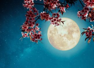 Sutra je pun Mjesec u Ovnu, najviše će uticati na ova 3 znaka: Neka se paze, sve može krenuti po zlu