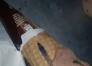 Moja ćerka je otvorila sladoled i unutra je našla nešto čudno — nismo odmah shvatili šta je to bilo.