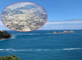 Zabrinjavajuće promjene u Jadranskom moru: Satelitske slike izazvale reakcije naučnika