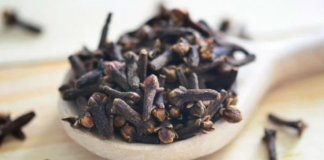 STAVILA JE KARANFILIĆ NA VRATA U KUĆI: PREKO NOĆI SE RIJEŠILA PROBLEMA KOJI JE PRISUTAN KOD MNOGIH!