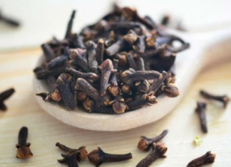 STAVILA JE KARANFILIĆ NA VRATA U KUĆI: PREKO NOĆI SE RIJEŠILA PROBLEMA KOJI JE PRISUTAN KOD MNOGIH!