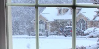 Potreban je samo jedan sastojak i ne morate prati prozore mjesecima