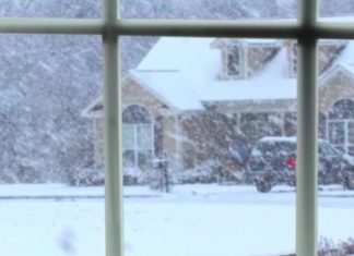 Potreban je samo jedan sastojak i ne morate prati prozore mjesecima