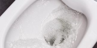 Zašto ne biste trebali ostavljati poklopac WC školjke otvoren – zapamtite doživotno