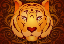 Kineski horoskop za oktobar 2025: Za 1 znak ovo je najbolji mesec u godini, imaće prelepe životne promene