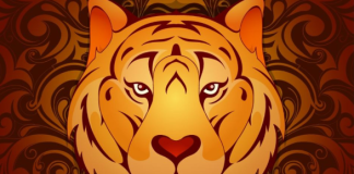 Kineski horoskop za oktobar 2025: Za 1 znak ovo je najbolji mesec u godini, imaće prelepe životne promene