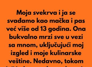 Posvađala sam se sa svekrvom zbog sitnice i na kraju otkrila prljavu porodičnu tajnu