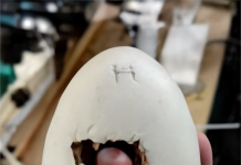 To je jedna žena pronašla u jajetu iz jednog restorana: to je zaista nevjerovatno.