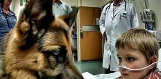Pre operacije, dečak je jako zagrlio svog psa, ali neočekivano ponašanje ljubimca iznenadilo je sve lekare.
