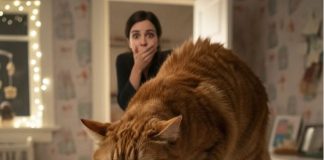 Mačka je stalno siktala na bebu i majka je htela da je se reši: Onda je primetila da mačka sikće samo kada beba prestane da diše.