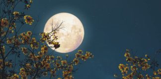 VEČERAS JE DUPLI PUN MJESEC i ZA OVA 3 ZNAKA počinje MAGIČAN PERIOD kakav se dešava jednom u životu