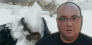 Zmije ispuzale usred zime! Vjeruje se da OVO nije dobar znak, a poznati zmijolovac upozorava – Dobro obratite pažnju na ovo!