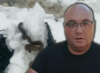 Zmije ispuzale usred zime! Vjeruje se da OVO nije dobar znak, a poznati zmijolovac upozorava – Dobro obratite pažnju na ovo!