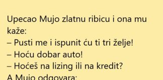 VIC DANA: Zlatna ribica