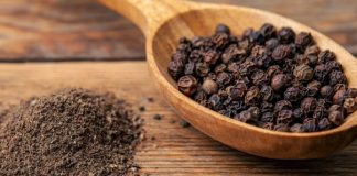 Pospite papar ispred svojih vrata, EVO ZAŠTO biti ćete mi zauvijek zahvalni!