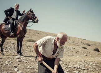Svi su se smejali starcu koji je sadio orah na kamenjaru: “Nećeš ti to dočekati, dedo!”, vikao je bogati komšija. Godinama kasnije, taj orah je spasio život komšijinom sinu.