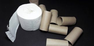 Ne bacajte rolnu toalet papira: Jedna žena je napravila čudo – i svi će ovog proleća posmatrati njeno dvorište